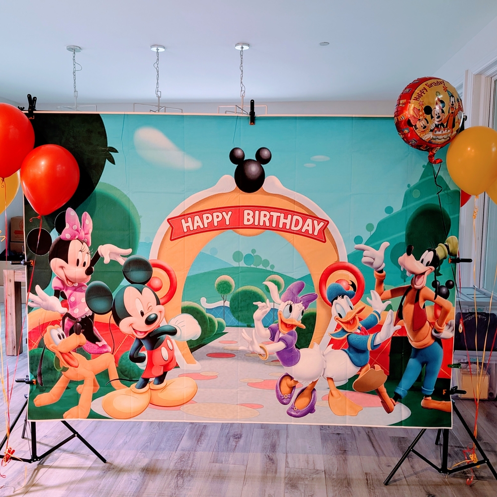 Mickey Mouse and Friends Birthday Backdrop